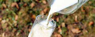 Como saber se o leite impacta realmente o meio ambiente?