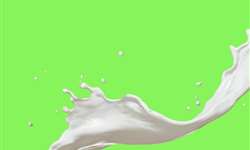 Sutil valorização no leite spot