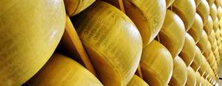 Soro-Fermento: tradição italiana em queijos brasileiros