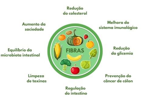 Papel das fibras alimentares na saúde humana.