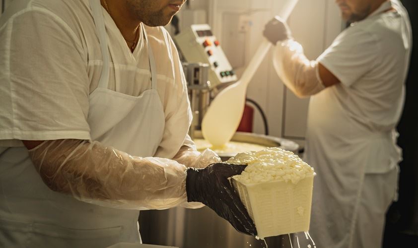 tecnología de producción de queso