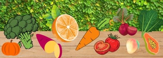 Alimentos ricos em carotenoides.