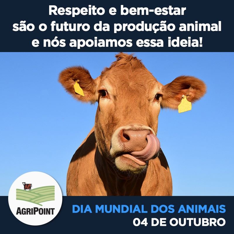 04/10 - Dia Mundial dos Animais - EDUCANDARIO MARTINS - GALO